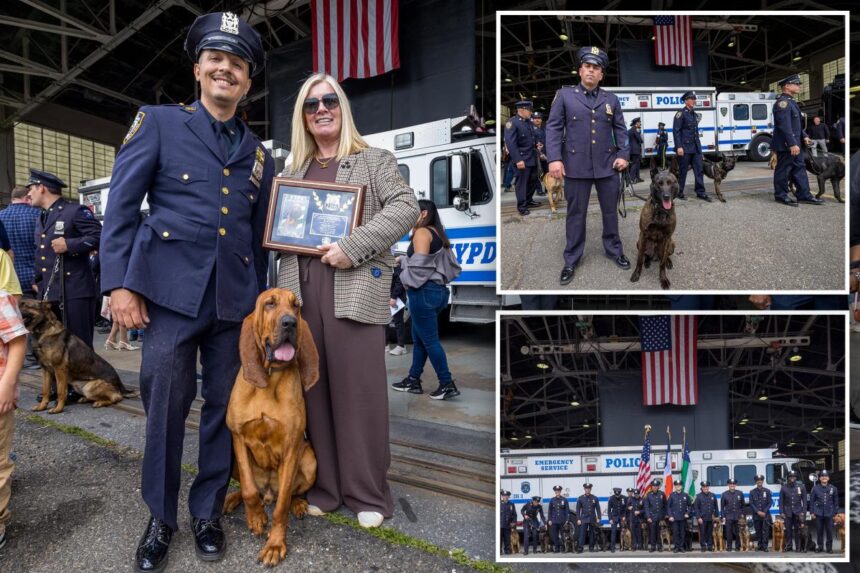 NYPD’s new K-9 cops set to take a bite out of crime after graduating