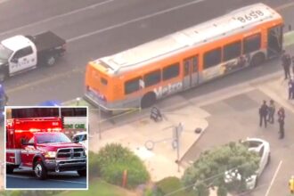 LA Metro kills pedestrian near Santa Monica Pier