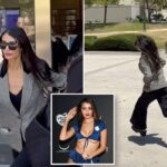 Exclusive | Stephen Cloobeck’s penthouse pet flees courthouse after passport is seized