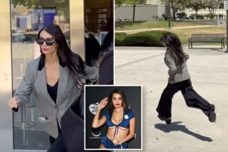 Exclusive | Stephen Cloobeck’s penthouse pet flees courthouse after passport is seized