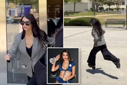 Exclusive | Stephen Cloobeck’s penthouse pet flees courthouse after passport is seized