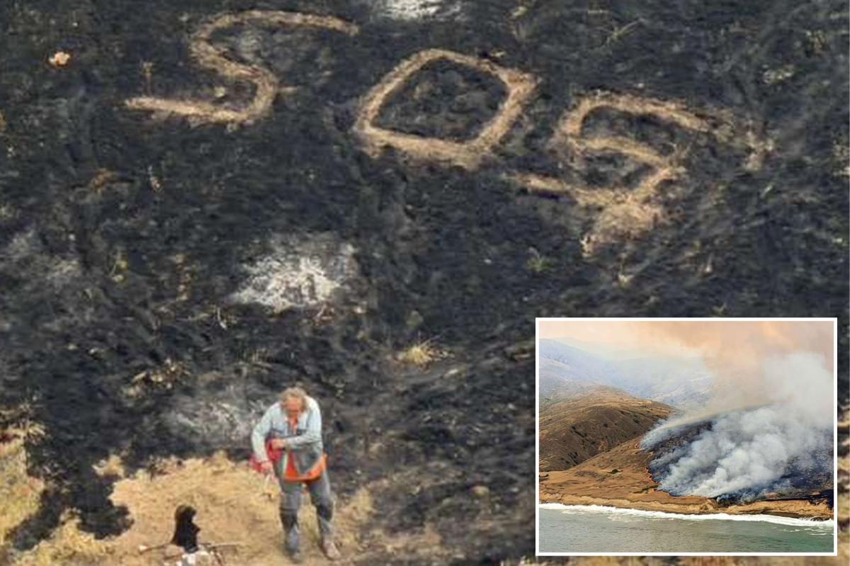Sailor rescued in the knick of time as massive, record-breaking wildfire engulfs California island
