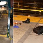 NYC straphanger falls to death between train cars during fight over stolen bag, cops and sources say