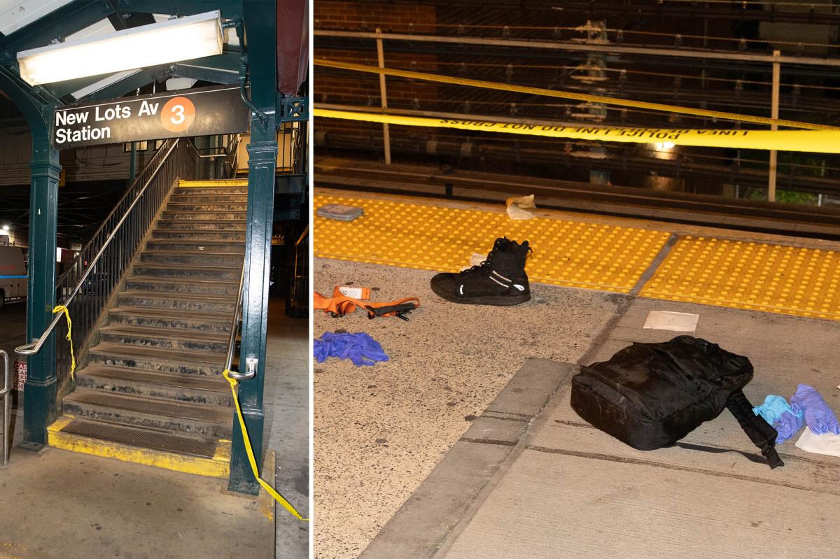 NYC straphanger falls to death between train cars during fight over stolen bag, cops and sources say