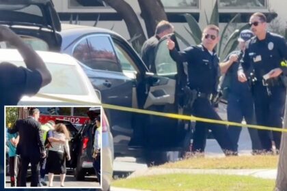 Exclusive | LAPD investigating after 4-year-old boy found dead in car