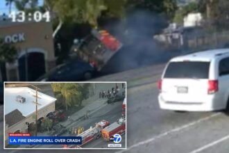 Jaw-dropping moment massive fire truck barrels into Sunland building
