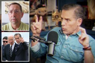 Hunter Biden claims Israeli intelligence is behind corruption allegations against him and Joe