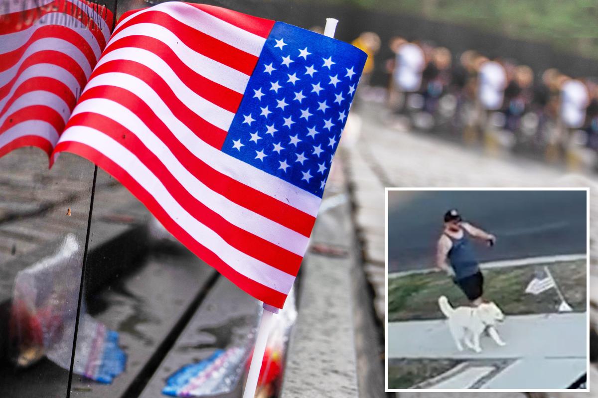 Outrage after man caught kicking American flag on Memorial Day while walking his dog in Orange County