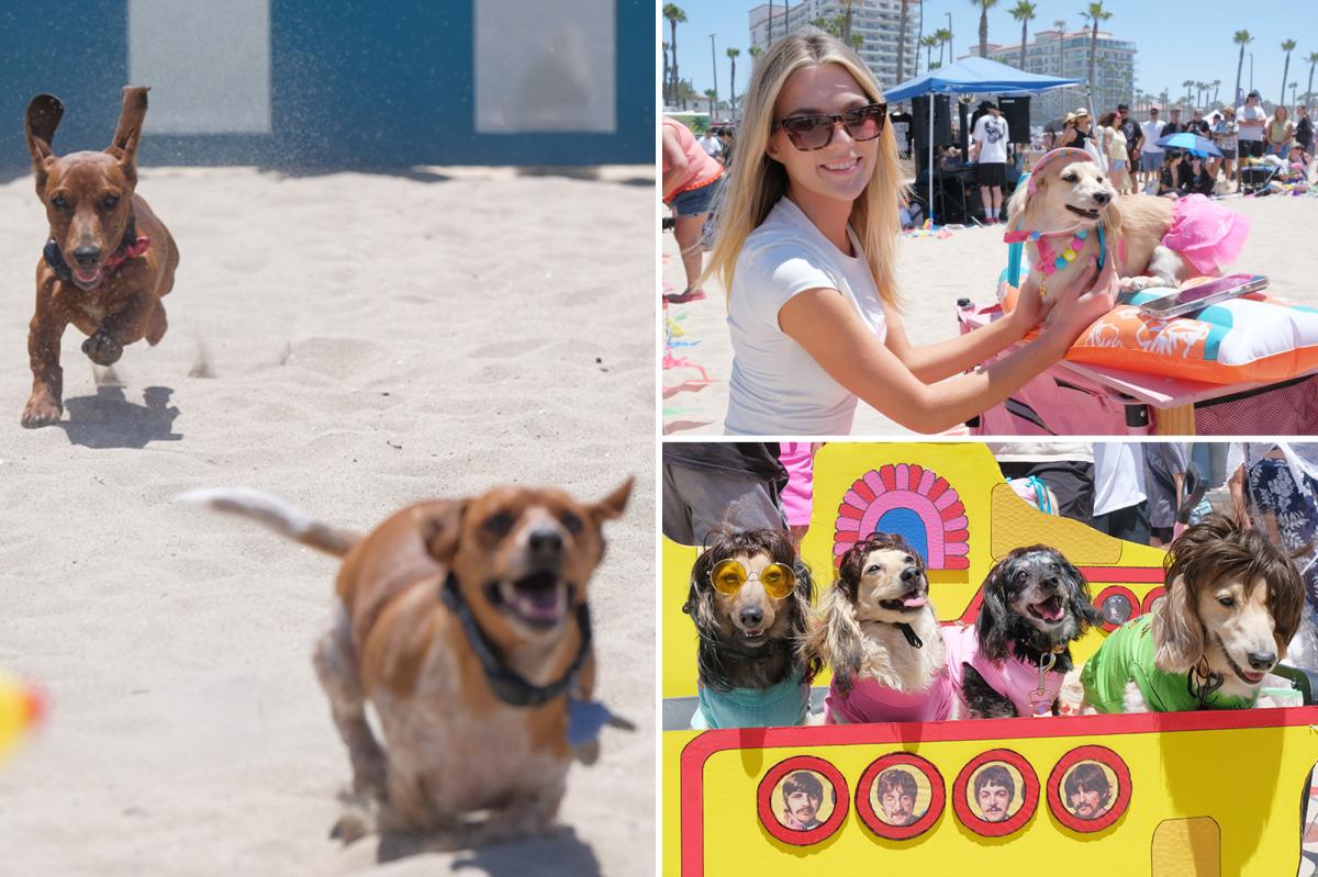 Wiener wonderland at Huntington Beach for ‘SoCal Wienerfest’