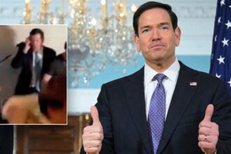 Marco Rubio spotted behind DJ booth at family wedding as social media reacts to viral clip