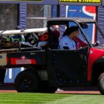 Yankees’ Jasson Dominguez carted off field in tears after crashing into outfield wall after stunning catch