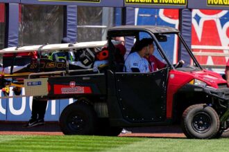 Yankees’ Jasson Dominguez carted off field in tears after crashing into outfield wall after stunning catch