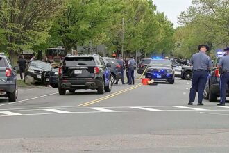 Suspected roadway gunman with reported criminal history sparks outrage after drivers shot