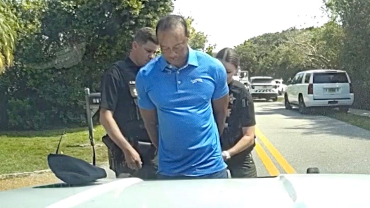 Florida judge rules prosecutors can access Tiger Woods’ prescription drug history after DUI arrest: report