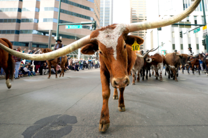 Dallas mayor blasts NYC for ‘punishing success’ as he pitches ‘Y’all Street’ to fleeing billionaires