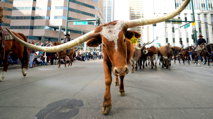 Dallas mayor blasts NYC for ‘punishing success’ as he pitches ‘Y’all Street’ to fleeing billionaires