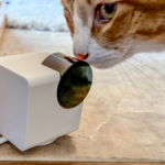 Best Home Pet Cameras of 2026: Remote Check-In and Much More