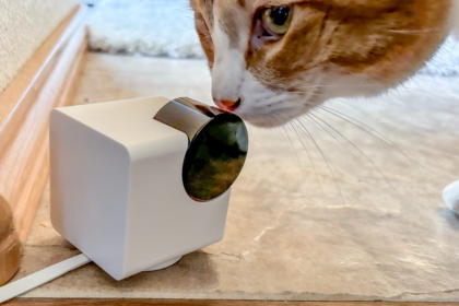 Best Home Pet Cameras of 2026: Remote Check-In and Much More