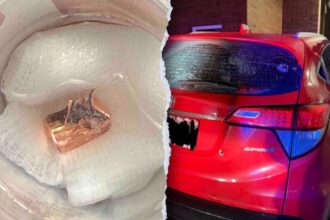 Man shot at In-N-Out drive-thru drove family to safety with bullet lodged in head