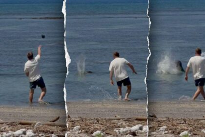 Viral businessman who bragged about wealth slapped with federal charges in endangered species harassment case