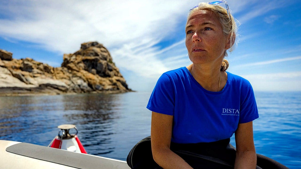 Bodies of four missing Italian divers found inside ‘shark cave’ in Maldives days after they vanished