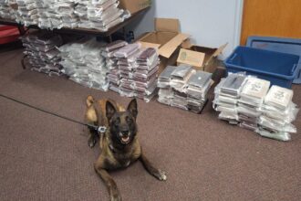 Nebraska K9 sniffs out 525 pounds of cocaine during routine traffic stop, leading to California man’s arrest
