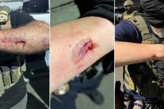 Anti-ICE agitator charged with allegedly biting officers during Delaney Hall clashes