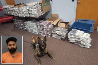 Nebraska K9 sniffs out 525 pounds of cocaine during routine traffic stop, leading to California man’s arrest