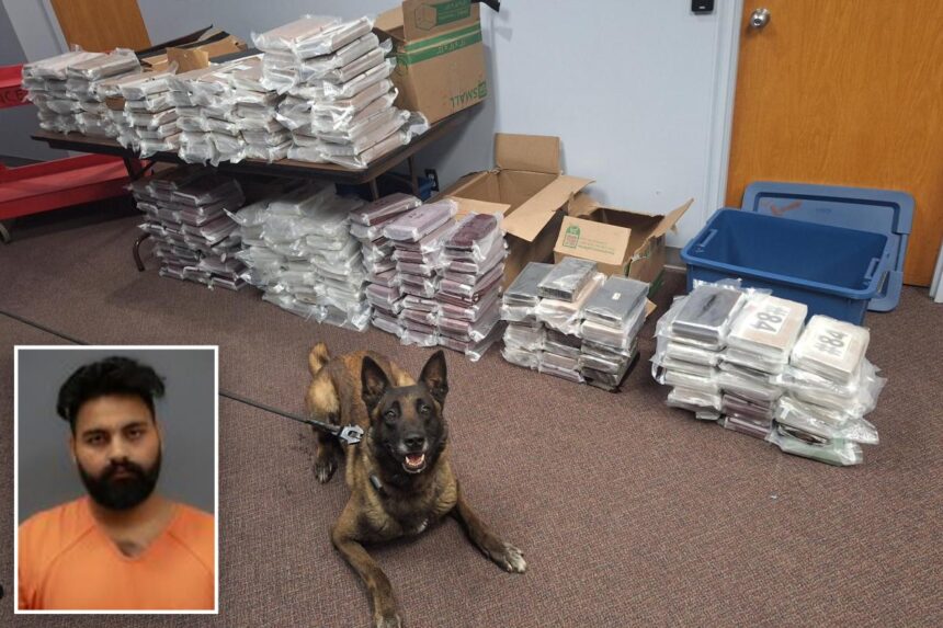 Nebraska K9 sniffs out 525 pounds of cocaine during routine traffic stop, leading to California man’s arrest