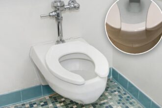 The real reason why public toilet seats have gaps in them — and it’s not as gross as you might think