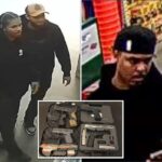 Illegal immigrants stole .2M in Apple tech outside Long Island mall: Feds