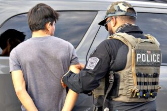 ‘Ghosts’ on Florida highways: Roadside stings snare 249 illegal immigrants, officers warn many more hiding