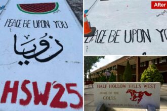 Long Island school pays student 5K after they removed Palestinian art from parking space