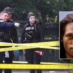 White House gunman had criminal record, history of mental health issues