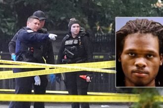 White House gunman had criminal record, history of mental health issues