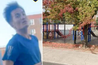 Sicko wanted for shoving group of children, choking 7-year-old boy in NYC park