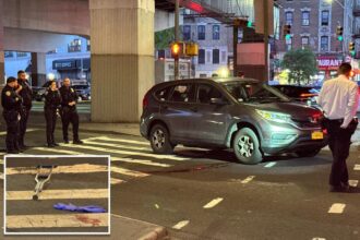 Hit-run truck strikes NYC  pedestrian — leaving helpless victim to be finished off by passing SUV