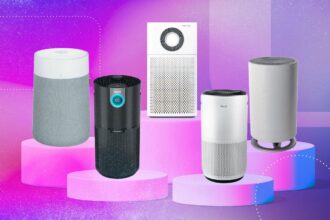 To Avoid Getting Sick, Our Lab Data Shows You Need This Air Purifier Model