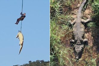 South African police airlift massive crocodile suspected of eating missing local