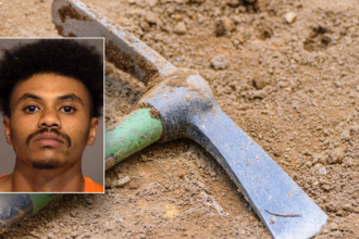 California man sentenced to prison for using pickaxe to kill teen brother with cerebral palsy