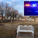 Plane crash in field leaves three Dallas cops injured, one critically