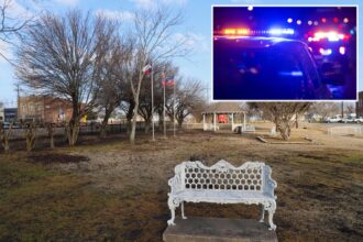 Plane crash in field leaves three Dallas cops injured, one critically