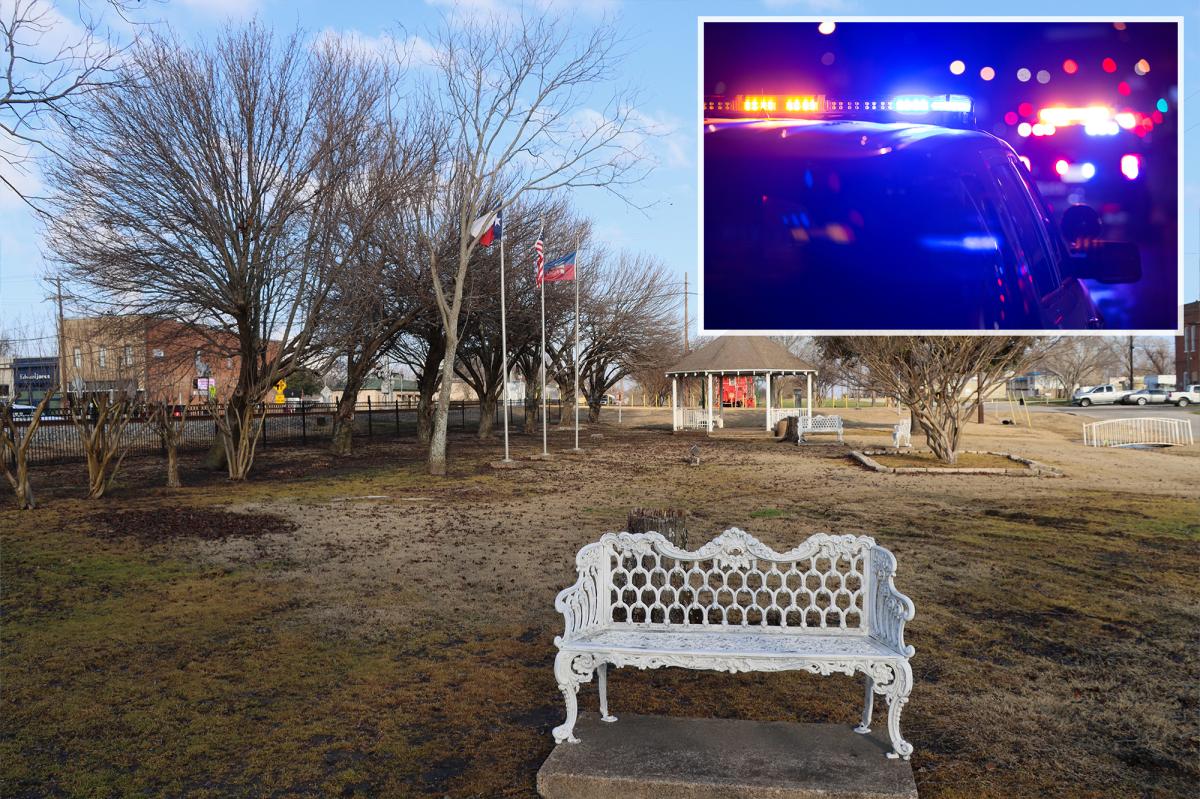 Plane crash in field leaves three Dallas cops injured, one critically