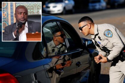 Fury at LA City Hall plot to deploy civilian army to replace traffic cops: ‘Deadly demolition derby’
