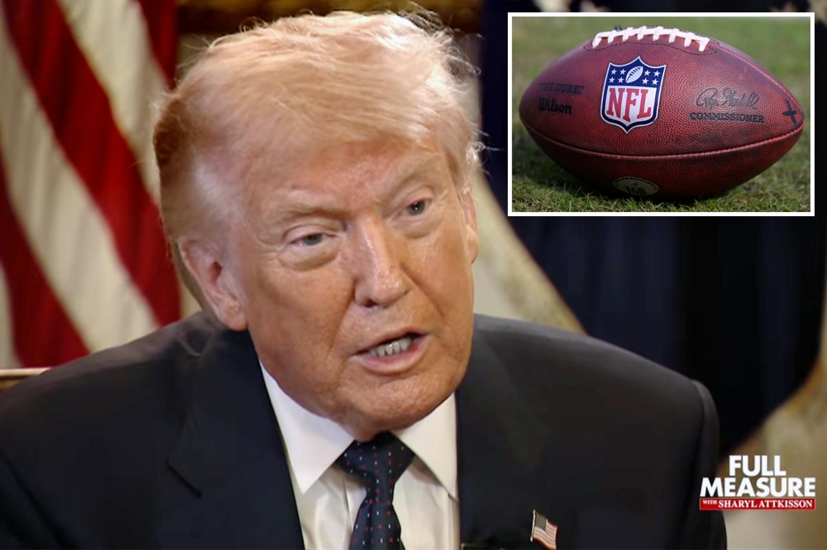 Trump rages that NFL is ‘gouging’ fans with new push to move games to Netflix, Amazon: ‘killing the golden goose’