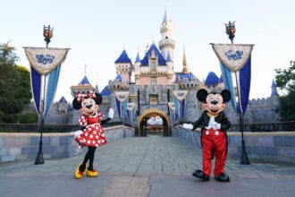 California drivers could soon get a Disneyland license plate — but you’ll have to wait