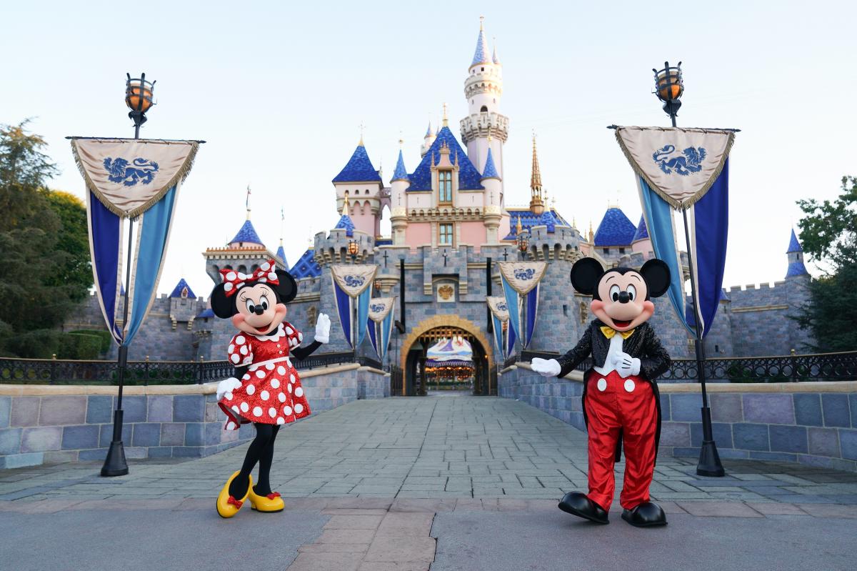 California drivers could soon get a Disneyland license plate — but you’ll have to wait