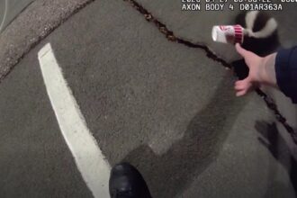 Colorado police rescue unlucky skunk stuck in a cup