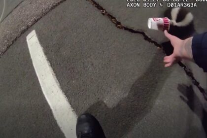 Colorado police rescue unlucky skunk stuck in a cup