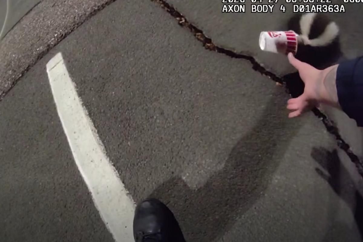 Colorado police rescue unlucky skunk stuck in a cup